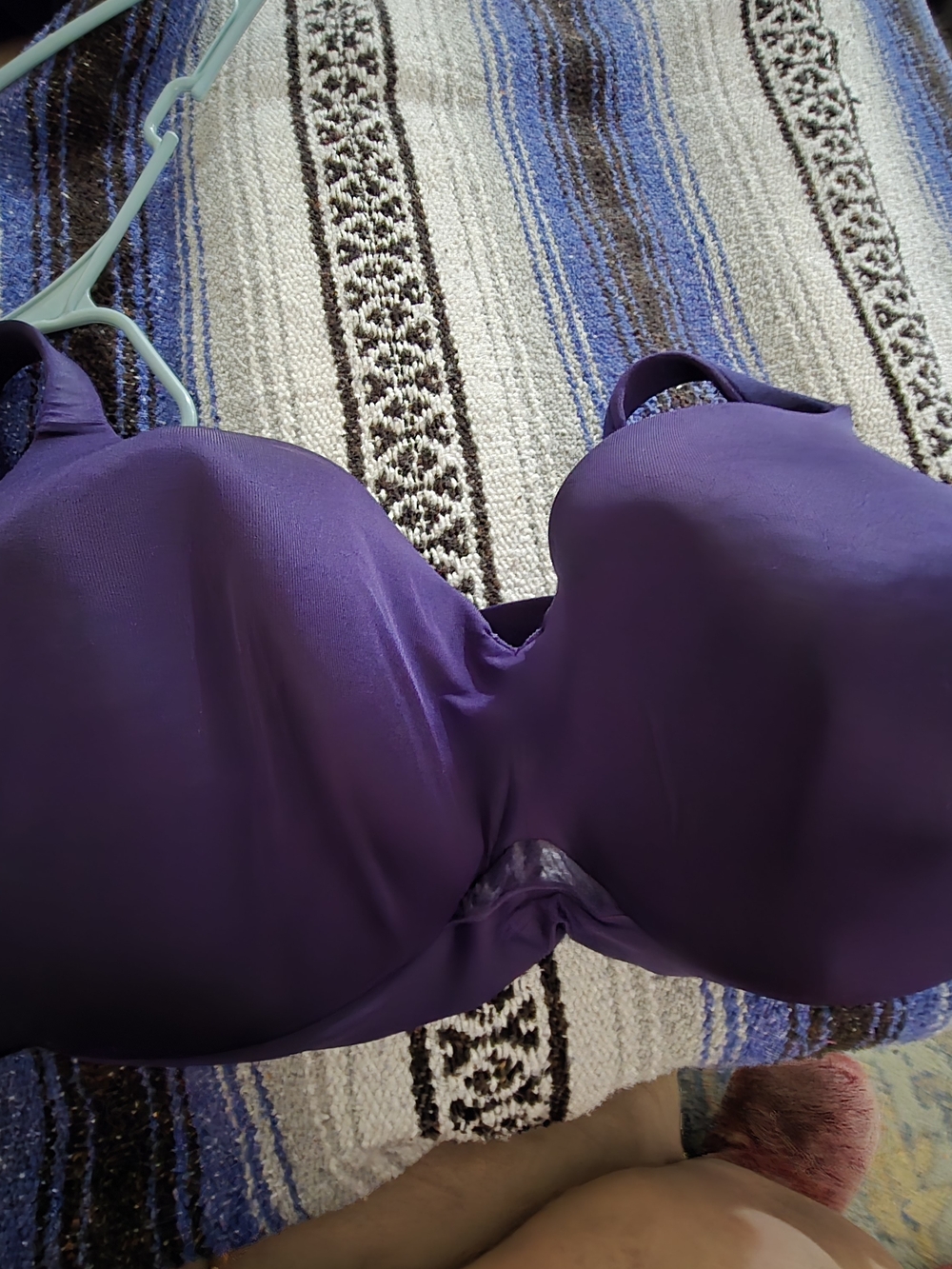 Cacique Purple Molded Support Bra